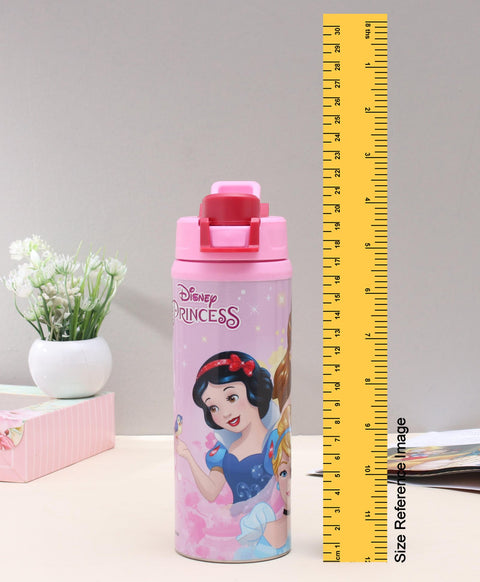 Disney Princess Steel Water Bottle  - 500 ml