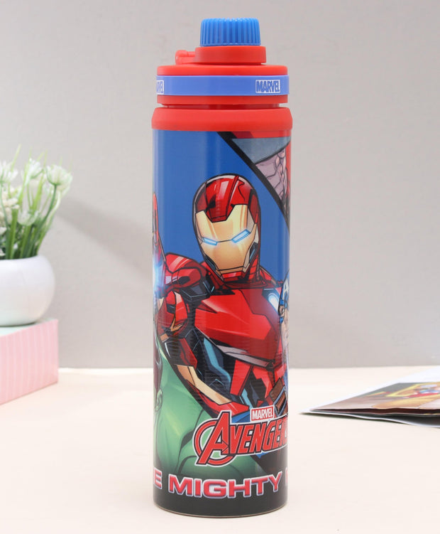 Avengers Steel Bottle