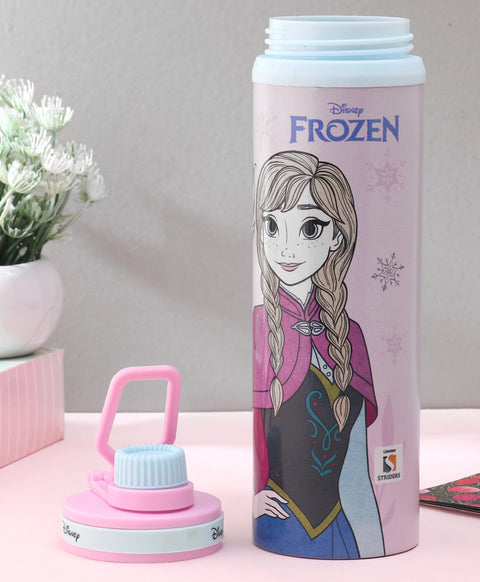 Frozen Steel Water Bottle - 700 ml
