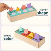 Curious Cub Shape & Color Sorter