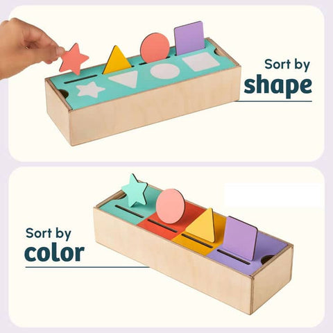 Curious Cub Shape & Color Sorter