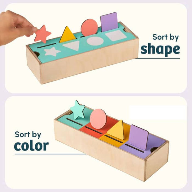 Curious Cub Shape & Color Sorter