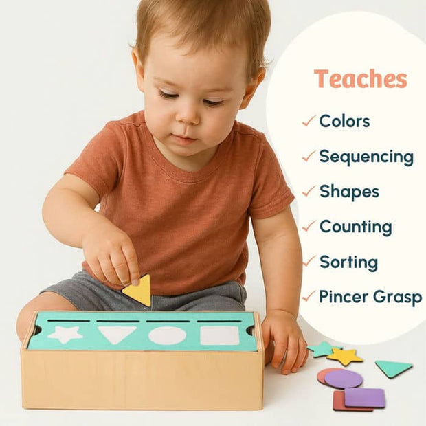 Curious Cub Shape & Color Sorter