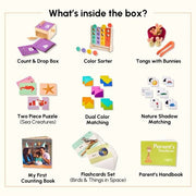 Colour Sorter With Coins