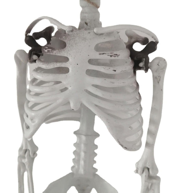 Halloween Decoration Skeleton - The Write Stuff
