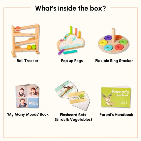 Set of 6 Montessori Learning Wooden Toys Box - The Write Stuff