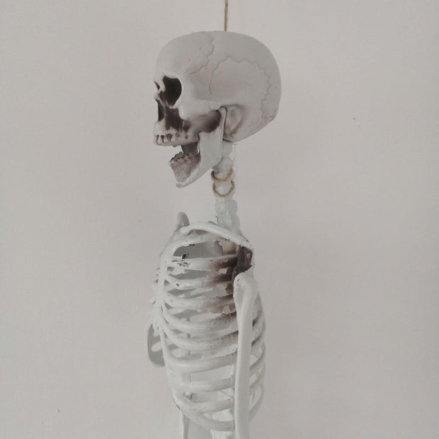 Halloween Decoration Skeleton - The Write Stuff