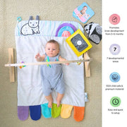 Curious Cub Play Gym - 0-12 months+
