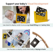 Curious Cub Play Gym - 0-12 months+