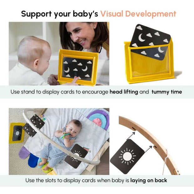 Curious Cub Play Gym - 0-12 months+