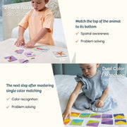 Colour Sorter With Coins