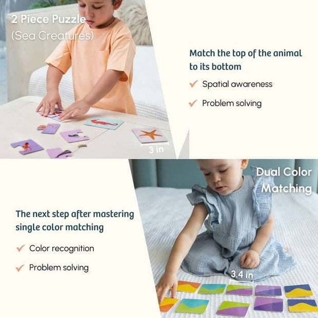 Colour Sorter With Coins