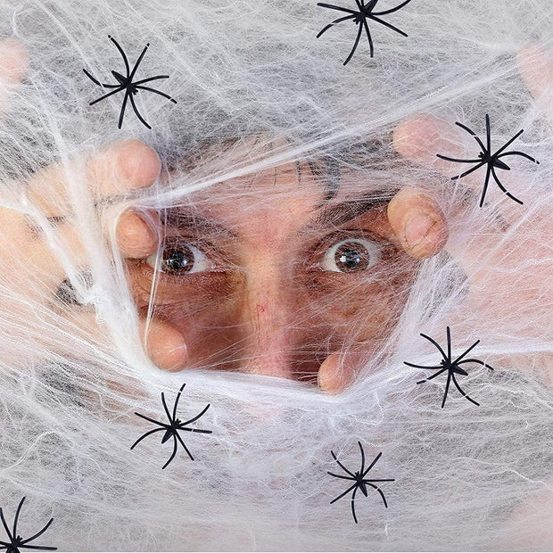 Halloween Home Decor Stretchable Spider Web - The Write Stuff