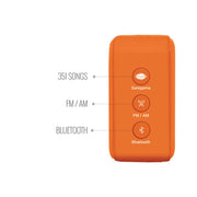 Saregama Carvaan Mini Bhagavad Gita Edition – Portable Bluetooth Speaker - The Write Stuff
