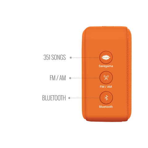 Saregama Carvaan Mini Bhagavad Gita Edition – Portable Bluetooth Speaker - The Write Stuff