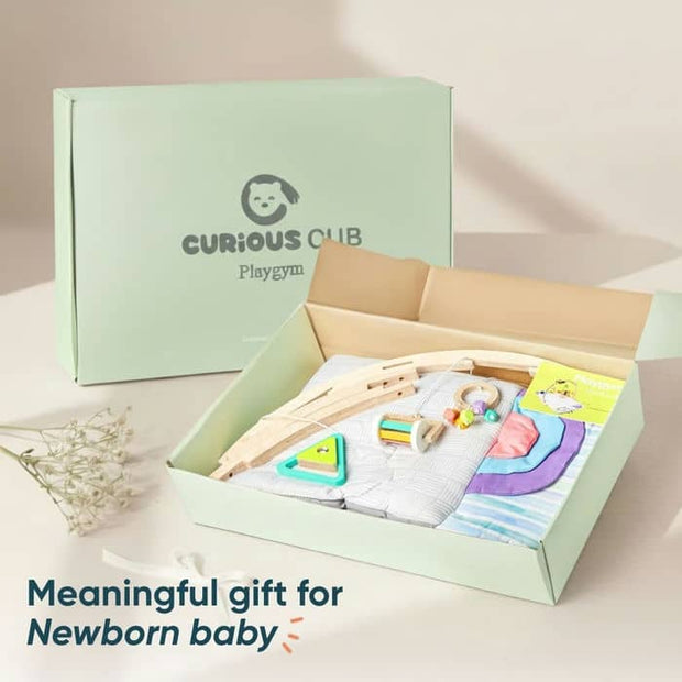 Curious Cub Play Gym - 0-12 months+