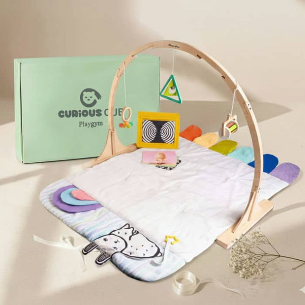 Curious Cub Play Gym - 0-12 months+