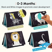 Curious Cub Tummy-Time Book & Mirror - 0-12 Months