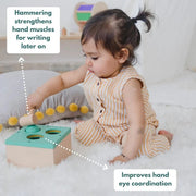 Curious Cub Montessori Box- 13 Months  (Level- 7)