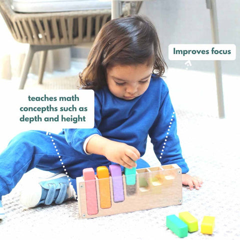 Curious Cub Montessori Box- 21 Months  (Level- 10)