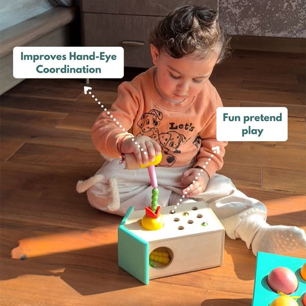 Curious Cub Magnetic Bird Feeder – Easy Attach Window Feeder for Birds - The Write Stuff