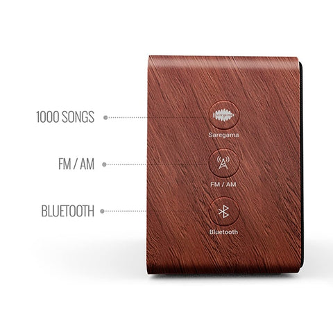 Saregama Carvaan Mini+ – Portable Bluetooth Speaker - The Write Stuff