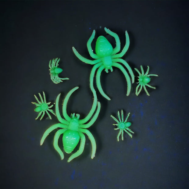 Halloween Decoration Glow in Dark Spiders - The Write Stuff