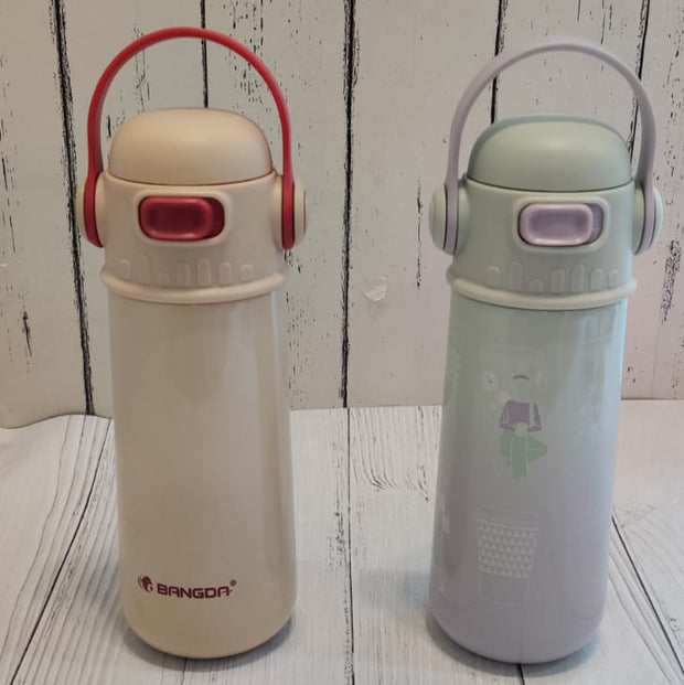 Stainless Steel Insulated water Bottle With Handle- 550ml - The Write Stuff