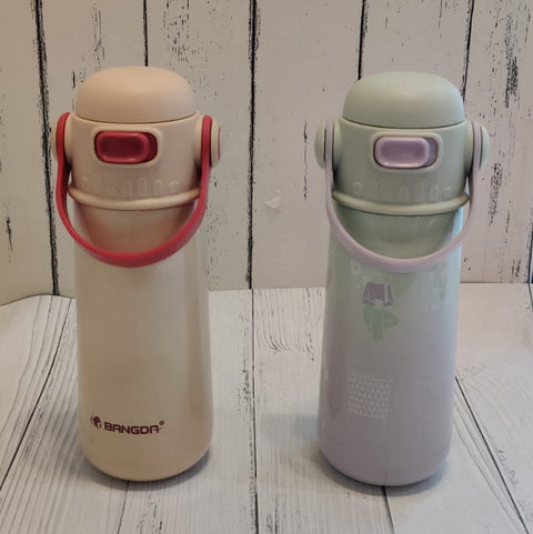 Stainless Steel Insulated water Bottle With Handle- 550ml - The Write Stuff