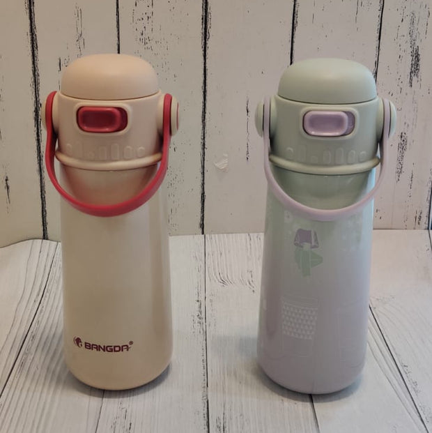 Stainless Steel Insulated water Bottle With Handle- 550ml - The Write Stuff