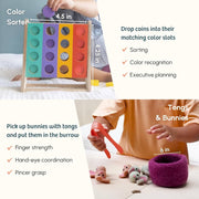 Colour Sorter With Coins