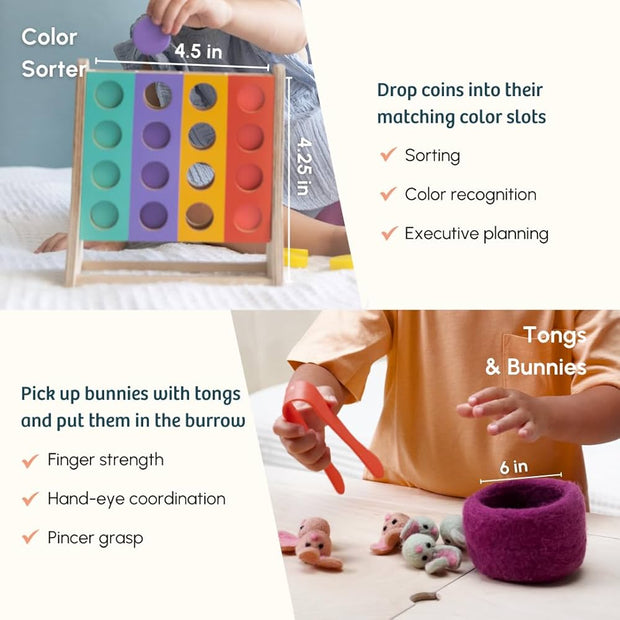 Colour Sorter With Coins