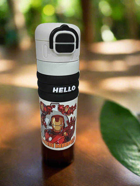 Character Bottle - Dual Cap Stainless Steel – 520ML - The Write Stuff