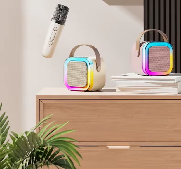 Wireless Karaoke Speaker with 2 Mike