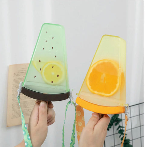 Fruit Popsicle Sipper Bottle